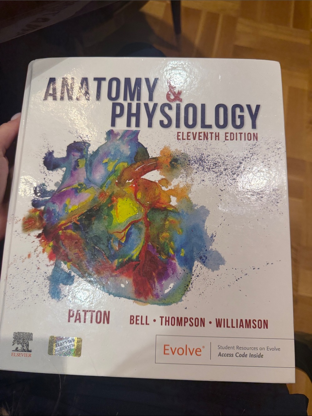 Anatomy & Physiology Eleventh Edition Textbook - White with Multicolor Artwork